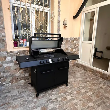 Flanatika 아파트 *