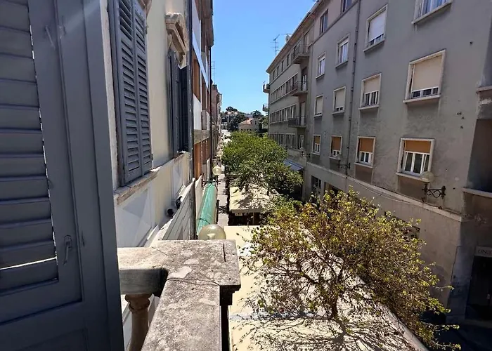 Flanatika * Pula